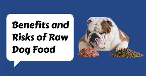 What Are The Benefits and Risks of Raw Dog Food? - Dog Endorsed