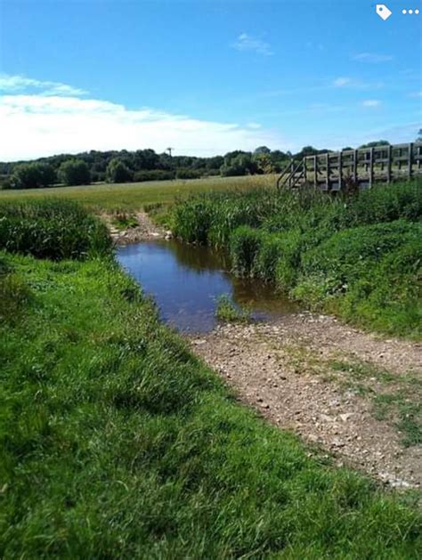 Roding river Ford – Epping Forest Forum