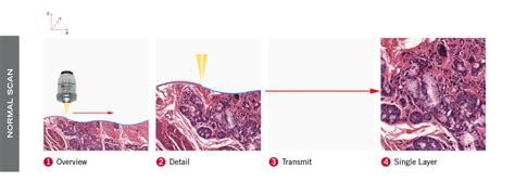 Motic EasyScan Infinity 60 & 100 Digital Slide Scanner – Miller Microscopes