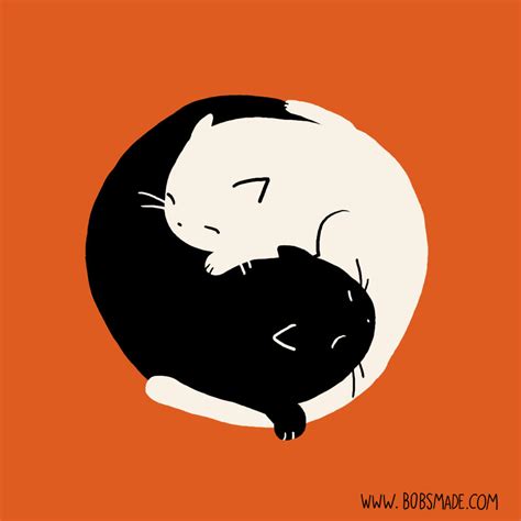 Cat Yin Yang by Bobsmade on DeviantArt