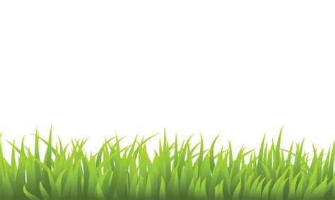 Vector grass border vector illustration 27198095 Vector Art at Vecteezy