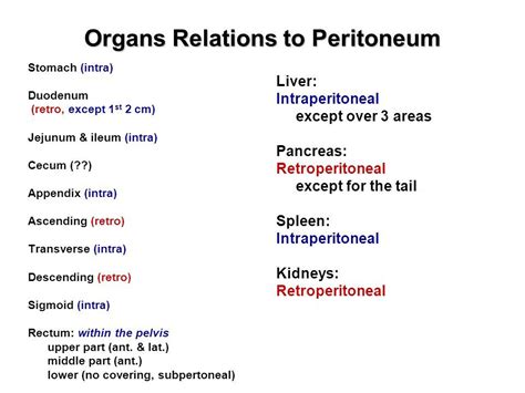 Retroperitoneal Organs Mnemonic