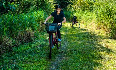 Cycling on Pulau Ubin — A Scenic 9-Hour Route Around The Island's Best ...