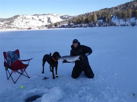 How to Ice Fish for Lake Trout - Troutster.com