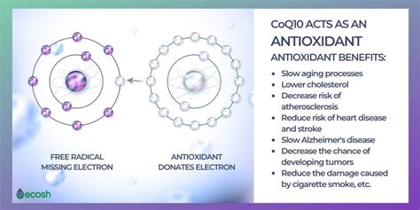 CoQ10 DEFICIENCY - COQ10 Deficiency Signs and Causes - Ecosh