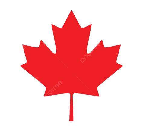 Canadian Maple Leaf From Flag Art Banner Illustration Vector, Art ...