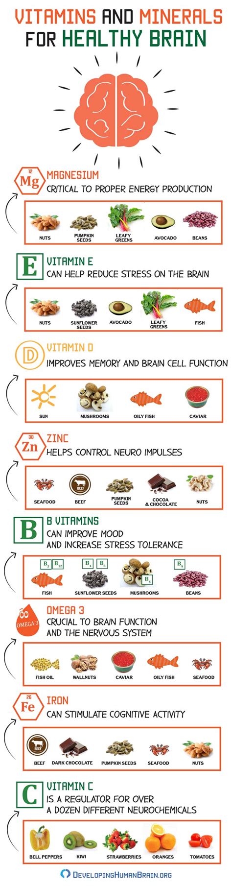 Vitamins For Your Brain Health And Where To Find Them Infographic