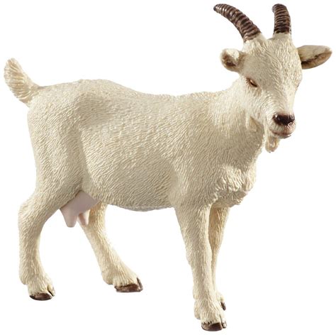 Amazon.com: Schleich Domestic Goat Toy Figure: Toys & Games