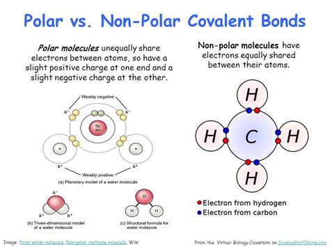 Is Chf Polar Or Nonpolar - IAE NEWS SITE