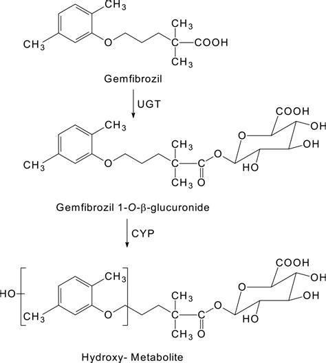 GLUCURONIDATION CONVERTS GEMFIBROZIL TO A POTENT, METABOLISM-DEPENDENT INHIBITOR OF CYP2C8 ...