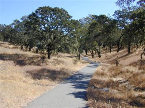 Oaks covered with lichen—Sonoma Valley Regional Park | California travel road trips, Road trip ...