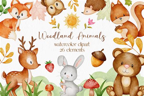 Woodland Animals Clip Art