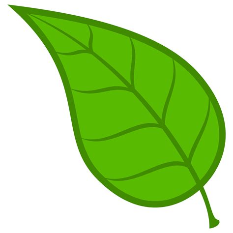 نتيجة بحث الصور عن ورقة شجر | Leaf clipart, Clip art, Leaf crafts