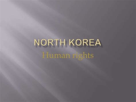 North Korea human rights