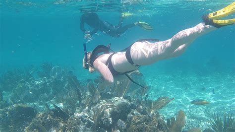 Snorkeling in PUNTA CANA with Dressel Divers