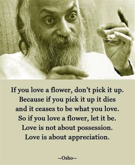 osho love | Brilliant quote, Inspirational quotes, Up quotes