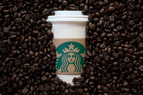 Which Starbucks Beans Are Not Oily? | KnowCompanies