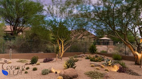 Desert Landscape in Phoenix, AZ - Copper Leaf Pools