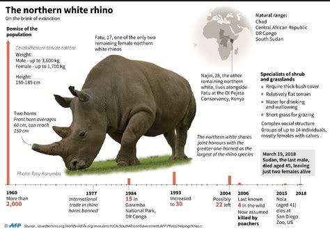 how many rhinos in congress