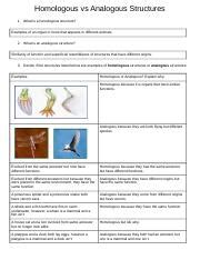 Marisol Rodriguez 399marrodr - Homologous vs Analogous Structures - Homologous vs Analogous ...