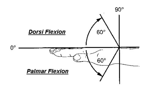 Biokinetic Golf Swing Theory: The Biokinetical Grip. Part 1.