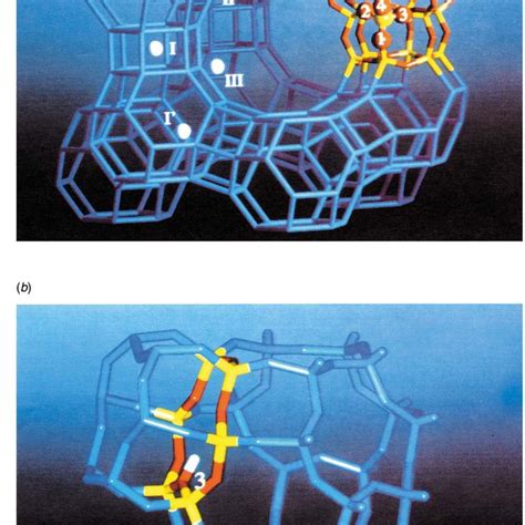 (a) The faujasite type structure showing the 12 ring leading to the... | Download Scientific Diagram