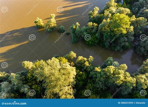 Aerial Photo of the Natural Flooding Drava River Stock Image - Image of ...