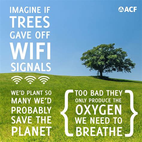 Wifi trees | Earth day quotes, Nature quotes trees, Earth quotes