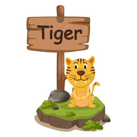 Premium Vector | Animal alphabet letter T for tiger