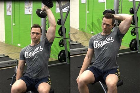 How to Do the Overhead Triceps Extension: Benefits, Form ...