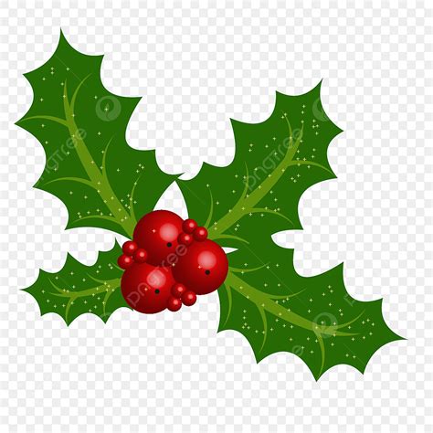 Christmas Holly Berry Clipart Transparent Background, Christmas Mistletoe And Holly Berry Leaves ...