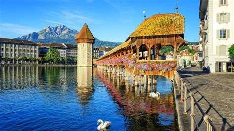 Lucerna y su puente más famoso | Lucerna, Suiza, Que visitar en suiza