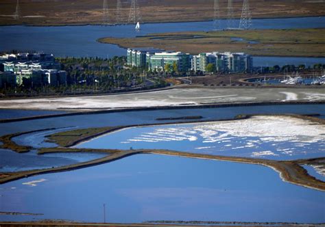 Cargill Abandons Appeal of Court Ruling Protecting Redwood City Salt ...