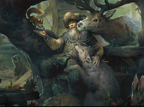 Radagast the Brown Printings, Prices, and Variations - mtg