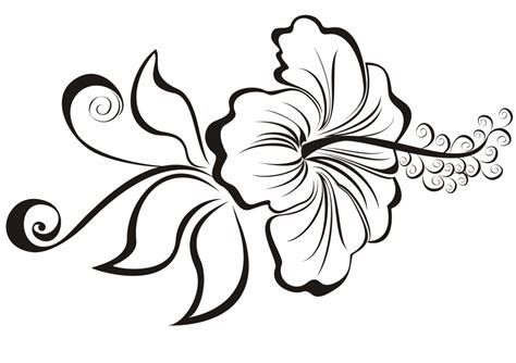 Hibiscus Flower Drawing Step By Step at GetDrawings | Free download