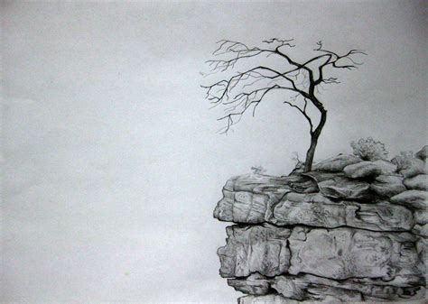 Tree on a Rocky Cliff