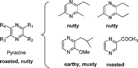 Basic structure of pyrazines. | Download Scientific Diagram