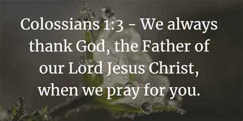 Colossians 1 Bible Study Guide And Commentary - Paul's Prayer