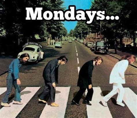 MEME – Mondays | Funlexia - Funny Pictures