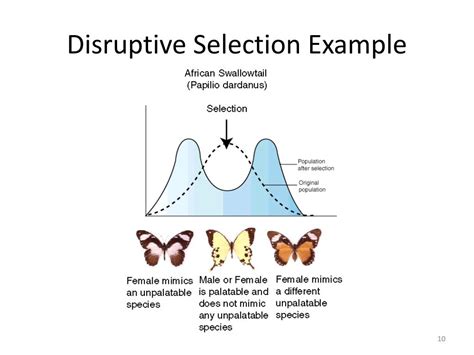 Selection examples