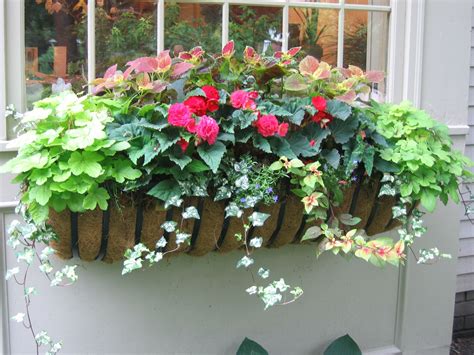 Window Box Flowers Partial Sun : Window Boxes Ideas for Decoration Yours Home | Container ...