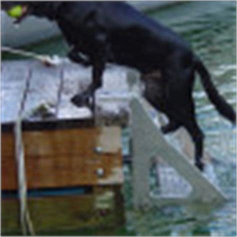 Dog Step Dock Ladder | Swim Dogs | Pet Safety | Marine