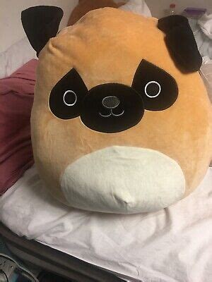 SQUISHMALLOW Prince Pug - Extra Large Dog- 16 inch 734689796205 | eBay