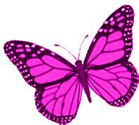 Animated Butterfly Flying GIFs | Tenor