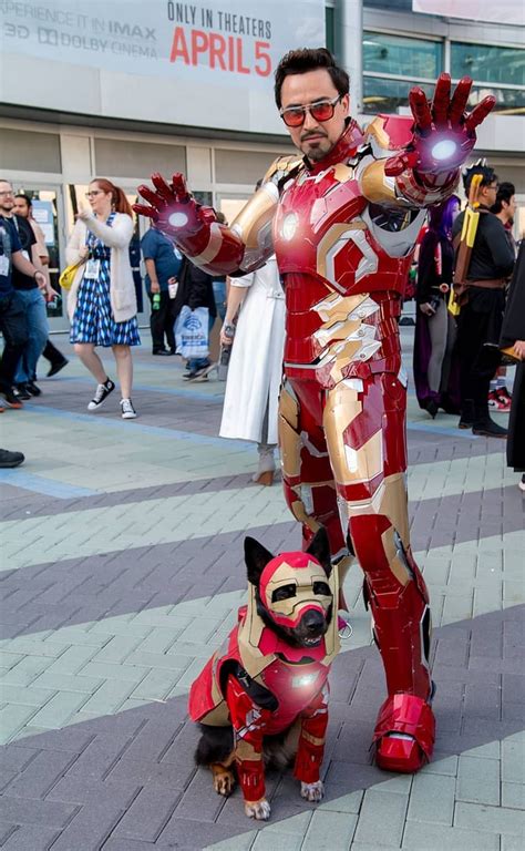 Saw this amazing cosplay! Look at the dog! : r/marvelstudios