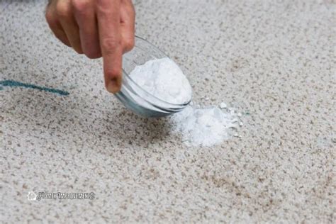 How to Remove Grease Stains Out of Carpet?