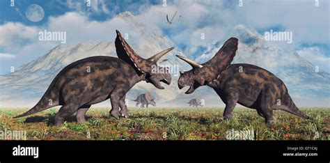 Herbivore Dinosaurs High Resolution Stock Photography and Images - Alamy