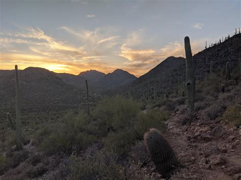 Sunset at Tucson Mountain Park : r/Tucson