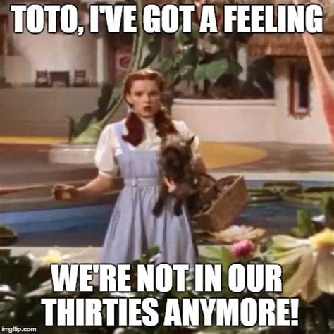 Image result for meme about dorothy and toto and wind | Funny memes ...