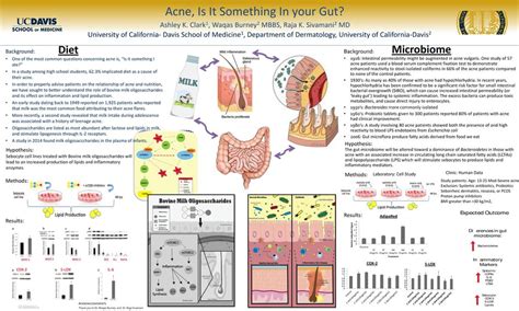 Acne, Is It Something In your Gut? - ppt download